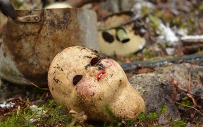 Gaan ons Museum oorleef?