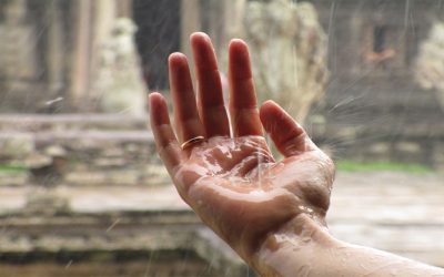 Droogtehulp aan Calvinia en Williston