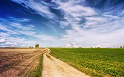 Vennootskap tussen landbou en tradisionele leiers gee hoop