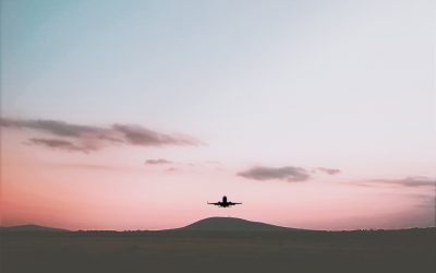 ’n Nuwe lewe in Nieu-Seeland