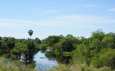 Die bediening in Paraguay in 2019