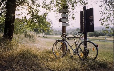 Op die spore van missionale kerkwees
