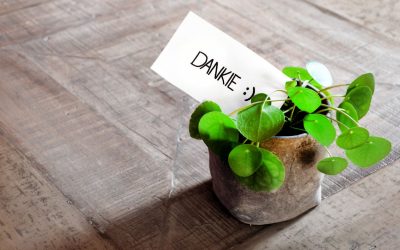 My repliek op die toekenning vir besondere diens