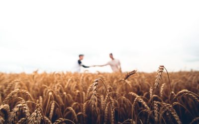 ’n Antwoord op die mening oor Liewe Jesus