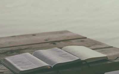 Nuwe kategesehandleidings – ’n nimmereindigende proses