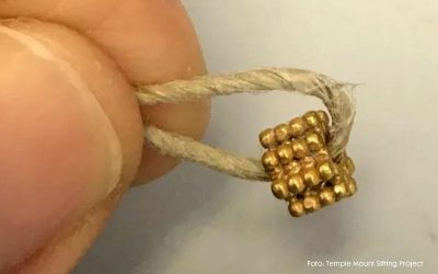 ’n Goue kraletjie van 3 000 jaar gelede ontdek