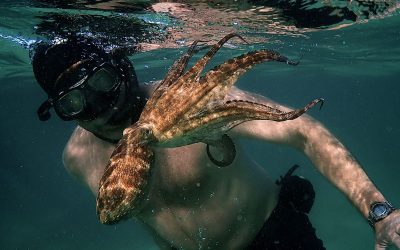 God se opdrag – my verhouding met die natuur