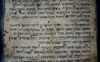 Herbesinning oor die Dooie See-rolle