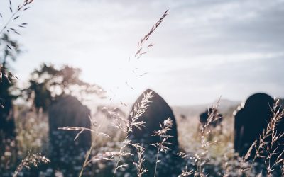 Om die verlede te onthou, te midde van ’n onsekere toekoms