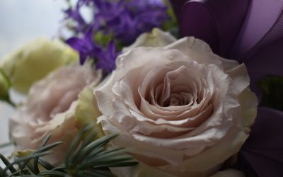 Die verhaal van my ouma Clara